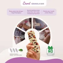 Bumil Granola Bar Rasa Yoghurt Berry dengan Tambahan Daun Katuk Kaya Asam Folat Zinc dan Madu Asli