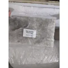 Ikan Teri Nasi Basah Segar Premium 250gr Frozen Food Cocok untuk MPASI