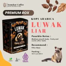 Semekar Coffee Kopi Luwak Liar Arabica Specialty Premium Box Rasa Fruity Exotic After Taste