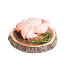 Chicken Broiler Pack Ayam Utuh Segar Siap Masak