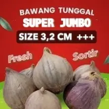Top Quality Bawang Putih Tunggal Lanang Segar Super Jumbo Import
