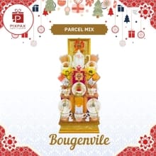 Parcel Natal Mewah Pixpax NTR 06 | Hamper Tahun Baru 2026 Spesial