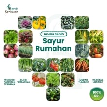 Paket Benih Sayuran Seribuan – 125 Varian Unggulan