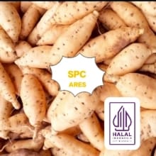 Ubi Madu Cilembu Kukus Asli 1kg – Manis Legit dari Sumedang