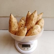 Ubi Madu Cilembu Manis Legit 1Kg