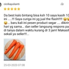 Wortel Segar Instan 250gr – Kualitas Premium
