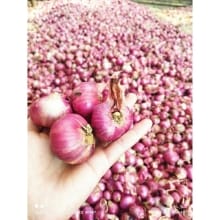 Bawang Merah Lokal Karet Bali Super (1000 Gram) – Petani Arjasari