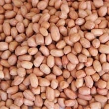 Kacang Tanah Merah Harga Terjangkau, Murah Meriah!