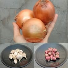 Bawang Merah/Putih/Bombai Segar – Pengiriman Cepat!