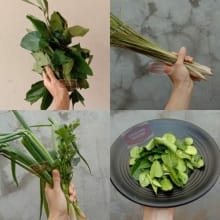 Daun Rempah Segar