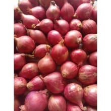 Bawang Merah Kering Mini 1 Kg dari Garut
