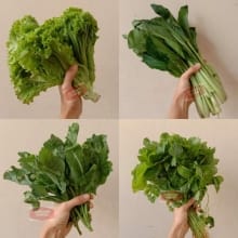 Sayur Segar: Kangkung Bayam Pakcoy Sawi Hijau