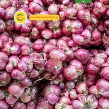 Bawang Merah Nganjuk Kering Segar