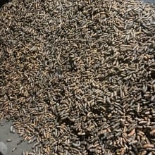 Kunyit Segar 1kg – Murah dan Berkualitas