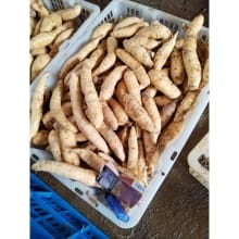 Ubi Madu Cilembu Simadu 1kg – Manisnya Alami dari Sumedang