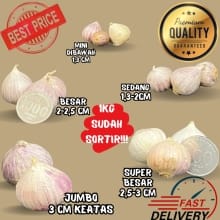 Bawang Putih Tunggal Super Fresh Import