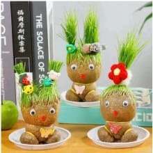 Boneka Tanaman Grass Doll – Mainan Edukatif yang Menggemaskan