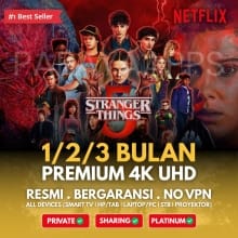 Langganan Netflix Premium Terjangkau