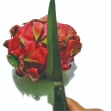 Pisau Dapur Custom untuk Souvenir Pernikahan – Cetak Nama & Tanggal