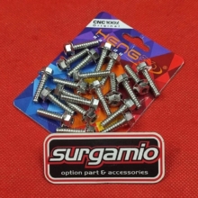 Baut Filter Probolt 2 Kunci Hexagon Stainless Chrome
