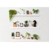 Rak Hias Dinding Modern