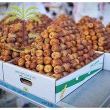 Kurma Sukari Premium Al-Qassim