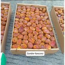 Kurma Sukari Lezat
