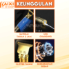 Cukur Rambut Premium