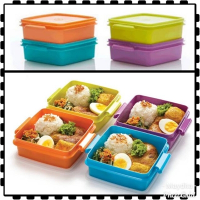 Tempat Penyimpanan Makanan Stylish Ringkas
