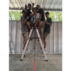 Tangga Lipat Super Kuat